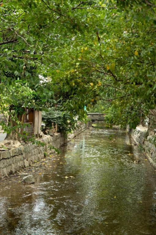Kyoto Hatsune Hotel Ngoại thất bức ảnh